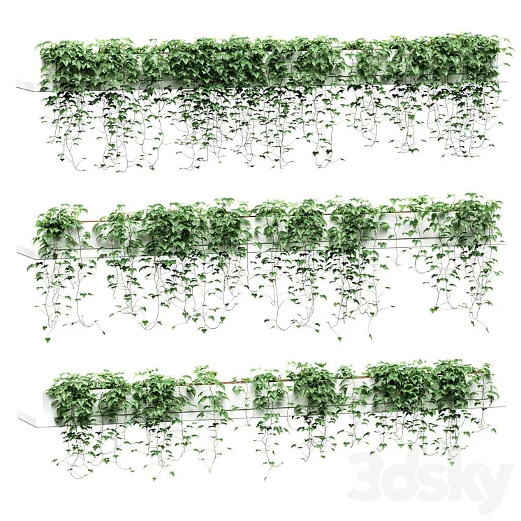 Ivy on long shelves. 3 models